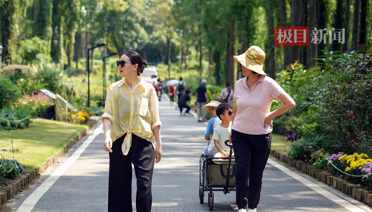 博悦网登录地址